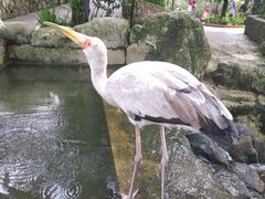-吉隆坡雀鸟公园