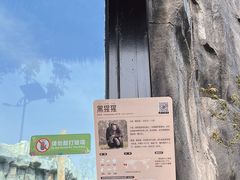 -武汉动物园