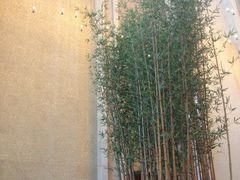 -上海雅居乐万豪侯爵酒店