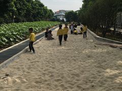 游乐设施-百万葵园