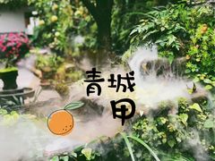 -青城甲(青城山店)