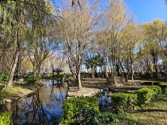 -洱海月湿地公园