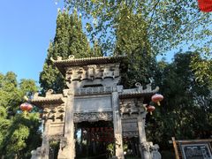 -大槐树寻根祭祖园