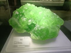 -湖南省地质博物馆