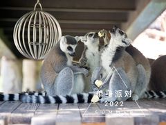 -上海野生动物园