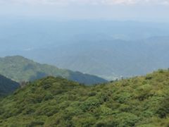 -大围山国家森林公园