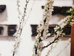 -花二家·生活馆(六运小区店)