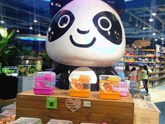 -龟与熊猫宠物公园(南坪店)
