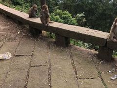 -重庆雨台山风景区