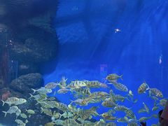 -成都浩海立方海洋公园