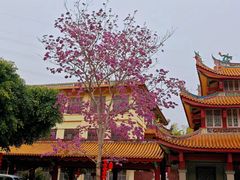 -天竺岩寺