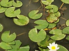 -花果园湿地公园