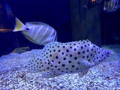 -成都浩海立方海洋公园