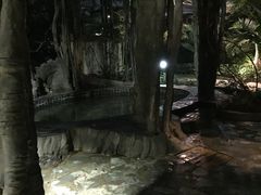 -龙达温泉生态城