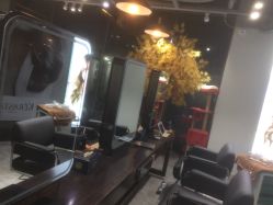 -M Hair造型
