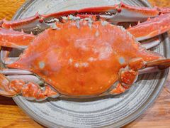 本地梭子蟹-必点海鲜·鲅鱼水饺(鞍山西道店)