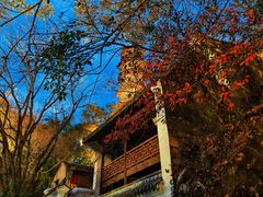 -江心屿景区