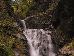 -石台牯牛降景区