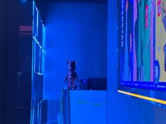 -M-MIX电音烤吧