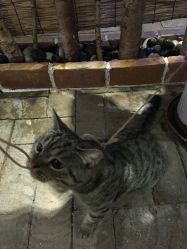 -如果 · 形象 个人整体形象设计工作室