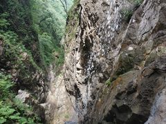 -塔云山
