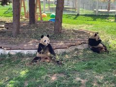 -西安秦岭野生动物园