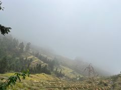 -紫鹊界梯田景区