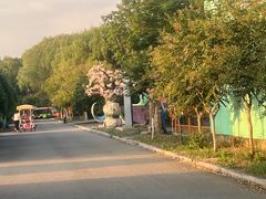 -兰陵国家农业公园