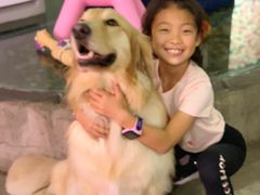 -百好乐宠物友好餐厅(朝外大街店)