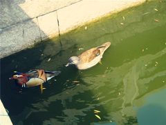 -陈云纪念馆