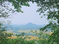 -上海佘山国家森林公园天马山园