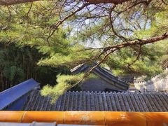 -潭柘寺景区