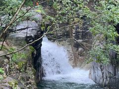 -大鄣山卧龙谷景区
