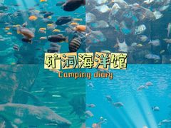 -长鹿旅游休博园