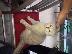 iphone_upload_pic-MIKAKU(万达广场上海宝山店)