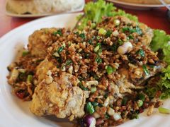 -大树下海鲜饭店