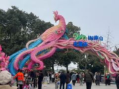 -南山植物园