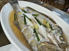 清蒸白丝鱼-观桥阁(锦溪店)
