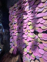 -Zoolung Zoolung动物主题公园(海信广场店)