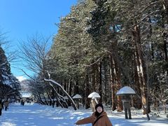 -北海道神宫