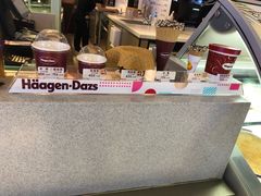 -哈根达斯(西安北郊店)