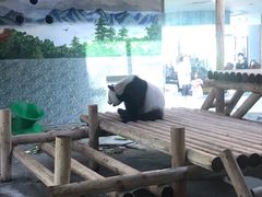 -西安秦岭野生动物园