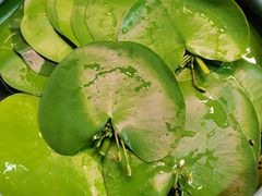 -三旗百汇商品城