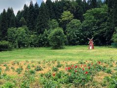 -武陵山森林公园