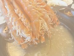 -斯普汇生蚝牛排馆(中骏世界城店)