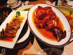 -南枝记
