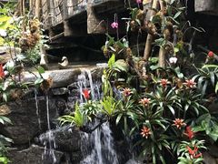 -青青世界