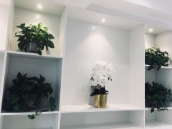 -MIVI半永久纹眉绣眉