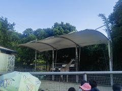 -泉州海丝野生动物世界