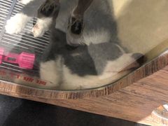 -宠物世家(仲盛世界商城店)